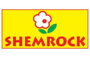 client | MarketingKarwao